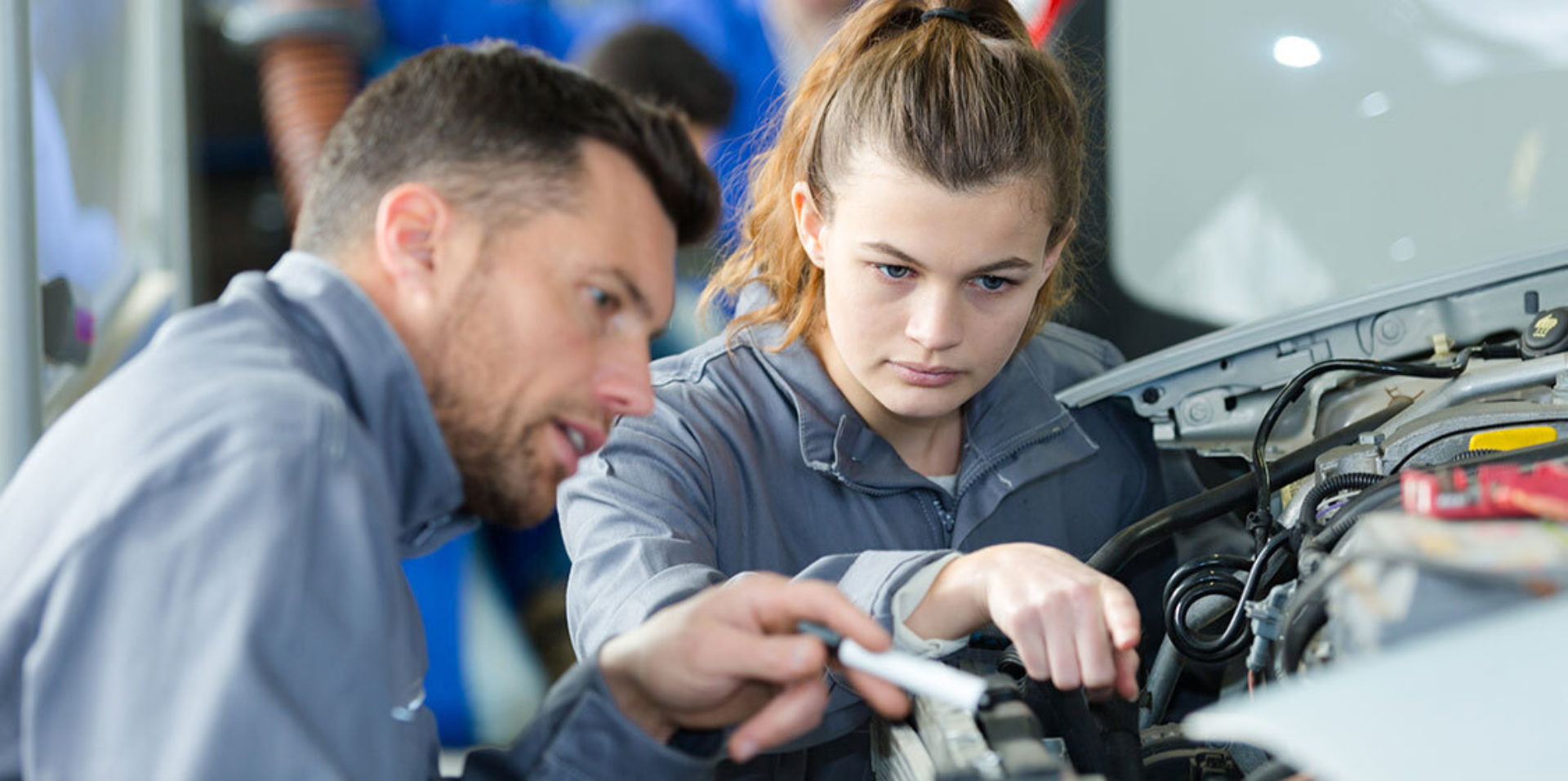 Work Experience Train skills for students